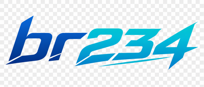 BR234 Logo